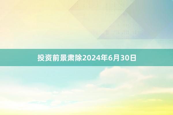 投资前景肃除2024年6月30日