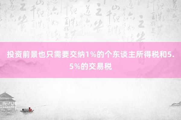 投资前景也只需要交纳1%的个东谈主所得税和5.5%的交易税