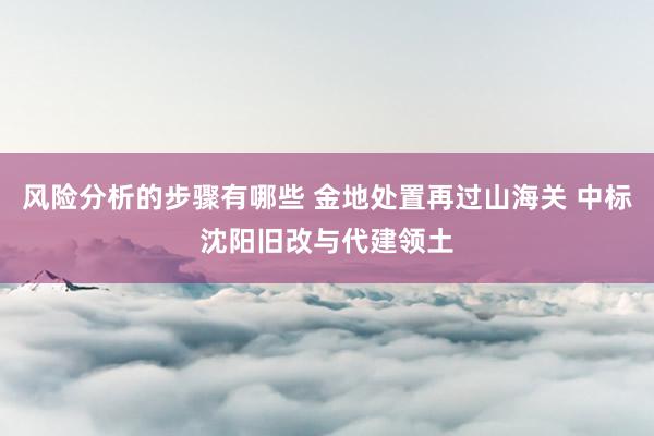 风险分析的步骤有哪些 金地处置再过山海关 中标沈阳旧改与代建领土