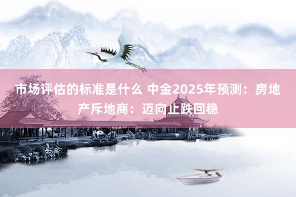 市场评估的标准是什么 中金2025年预测：房地产斥地商：迈向止跌回稳