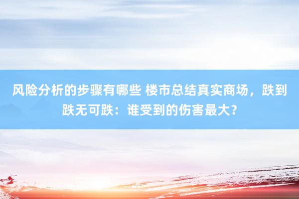 风险分析的步骤有哪些 楼市总结真实商场，跌到跌无可跌：谁受到的伤害最大？