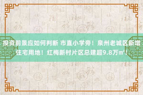 投资前景应如何判断 市直小学旁！泉州老城区新增住宅用地！红梅新村片区总建超9.8万㎡！