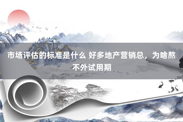 市场评估的标准是什么 好多地产营销总，为啥熬不外试用期