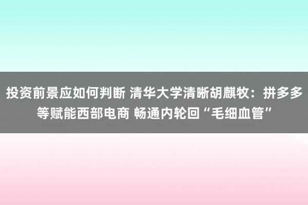 投资前景应如何判断 清华大学清晰胡麒牧：拼多多等赋能西部电商 畅通内轮回“毛细血管”