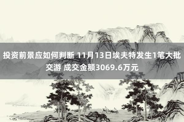 投资前景应如何判断 11月13日埃夫特发生1笔大批交游 成交金额3069.6万元