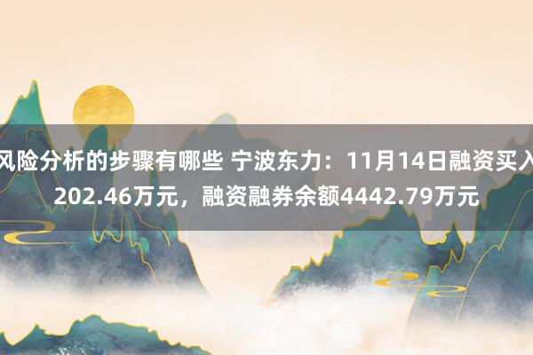 风险分析的步骤有哪些 宁波东力：11月14日融资买入202.46万元，融资融券余额4442.79万元