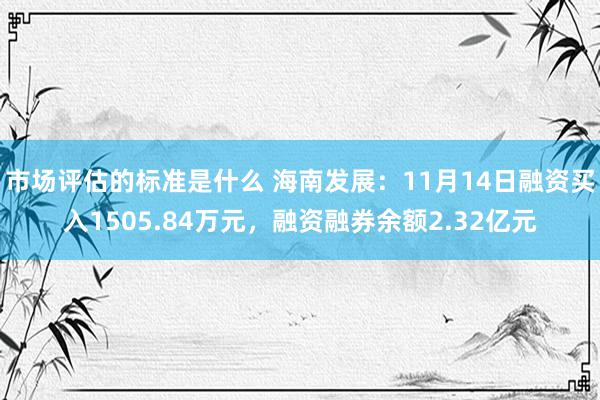 市场评估的标准是什么 海南发展：11月14日融资买入1505.84万元，融资融券余额2.32亿元