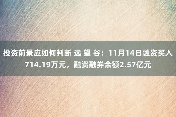 投资前景应如何判断 远 望 谷：11月14日融资买入714.19万元，融资融券余额2.57亿元