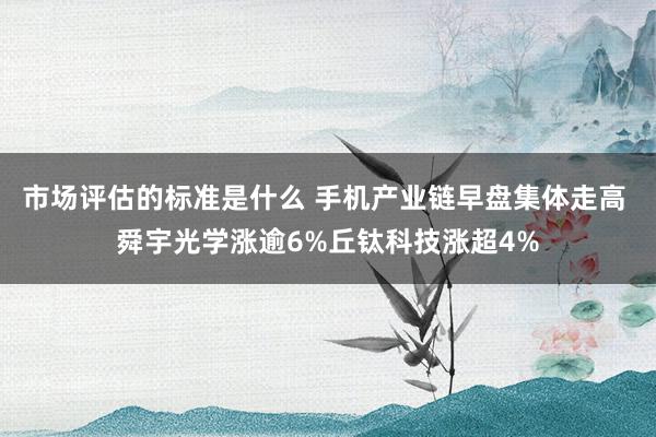 市场评估的标准是什么 手机产业链早盘集体走高 舜宇光学涨逾6%丘钛科技涨超4%