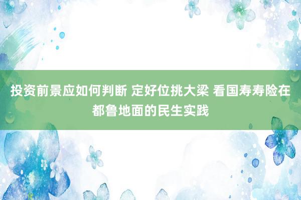 投资前景应如何判断 定好位挑大梁 看国寿寿险在都鲁地面的民生实践