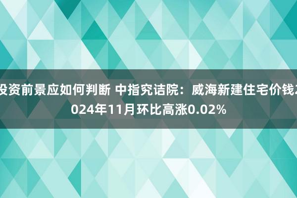 投资前景应如何判断 中指究诘院：威海新建住宅价钱2024年11月环比高涨0.02%