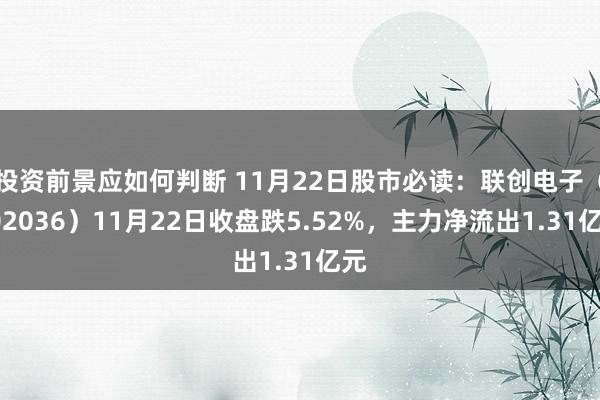 投资前景应如何判断 11月22日股市必读：联创电子（002036）11月22日收盘跌5.52%，主力净流出1.31亿元