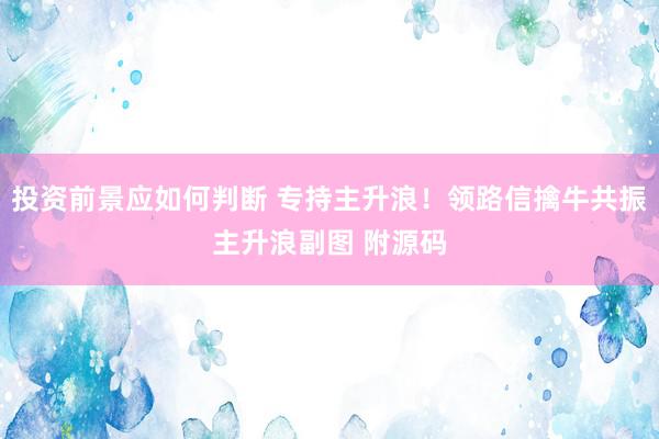 投资前景应如何判断 专持主升浪！领路信擒牛共振主升浪副图 附源码