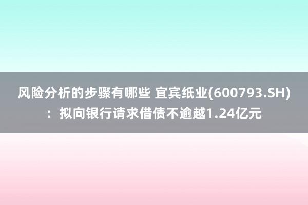 风险分析的步骤有哪些 宜宾纸业(600793.SH)：拟向银行请求借债不逾越1.24亿元