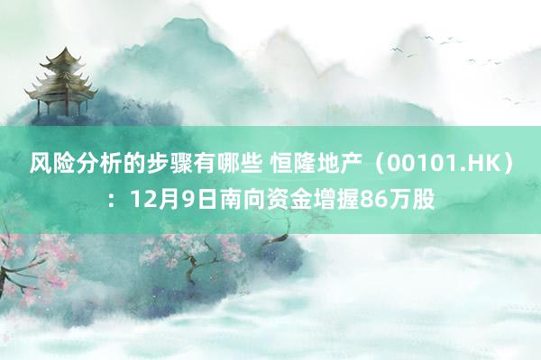 风险分析的步骤有哪些 恒隆地产（00101.HK）：12月9日南向资金增握86万股