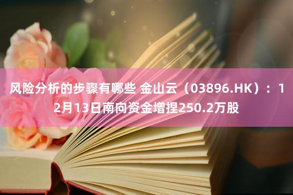 风险分析的步骤有哪些 金山云（03896.HK）：12月13日南向资金增捏250.2万股