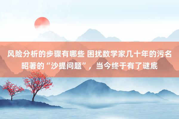 风险分析的步骤有哪些 困扰数学家几十年的污名昭著的“沙提问题”，当今终于有了谜底