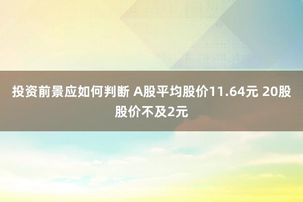 投资前景应如何判断 A股平均股价11.64元 20股股价不及2元