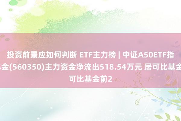 投资前景应如何判断 ETF主力榜 | 中证A50ETF指数基金(560350)主力资金净流出518.54万元 居可比基金前2