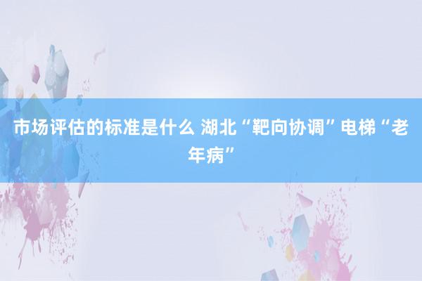 市场评估的标准是什么 湖北“靶向协调”电梯“老年病”