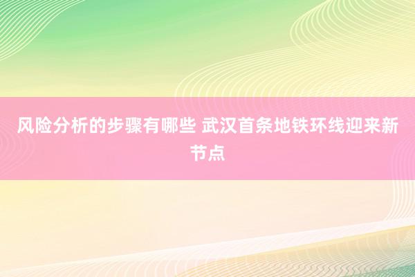 风险分析的步骤有哪些 武汉首条地铁环线迎来新节点