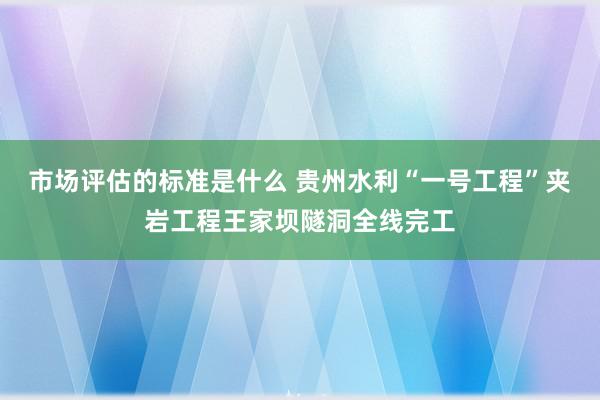 市场评估的标准是什么 贵州水利“一号工程”夹岩工程王家坝隧洞全线完工