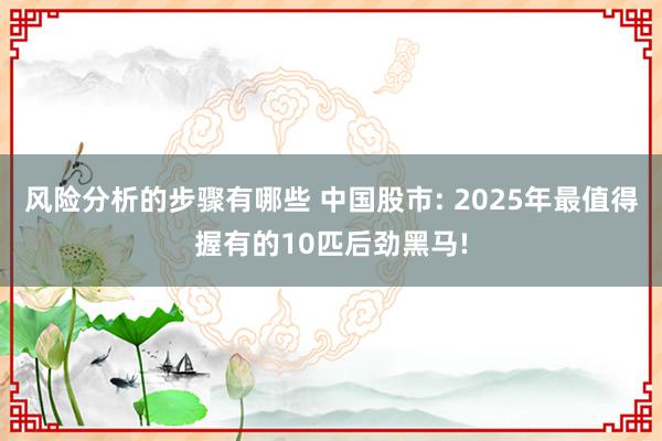 风险分析的步骤有哪些 中国股市: 2025年最值得握有的10匹后劲黑马!