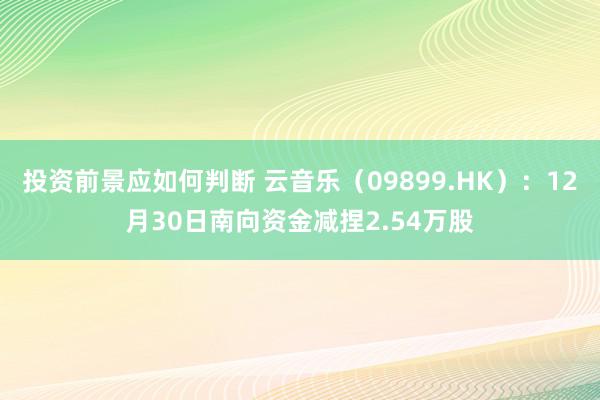 投资前景应如何判断 云音乐（09899.HK）：12月30日南向资金减捏2.54万股