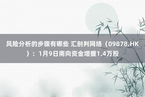 风险分析的步骤有哪些 汇剖判网络（09878.HK）：1月9日南向资金增握1.4万股