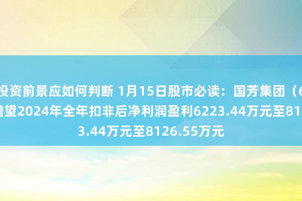 投资前景应如何判断 1月15日股市必读：国芳集团（601086）瞻望2024年全年扣非后净利润盈利6223.44万元至8126.55万元