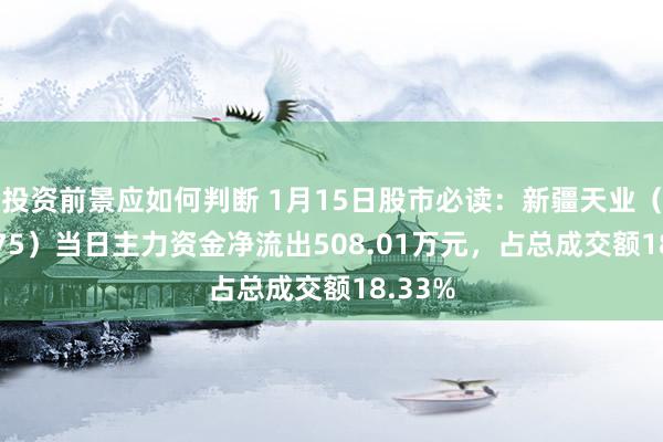 投资前景应如何判断 1月15日股市必读：新疆天业（600075）当日主力资金净流出508.01万元，占总成交额18.33%