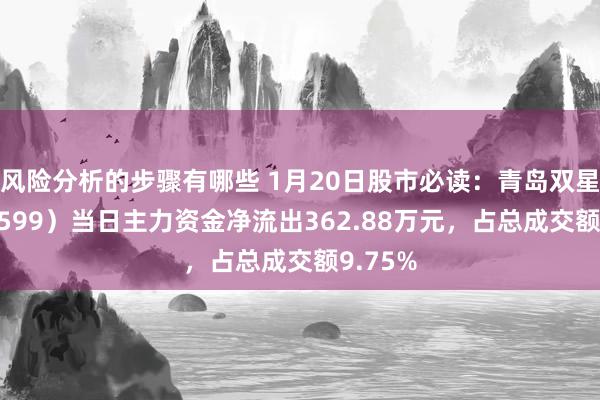 风险分析的步骤有哪些 1月20日股市必读：青岛双星（000599）当日主力资金净流出362.88万元，占总成交额9.75%