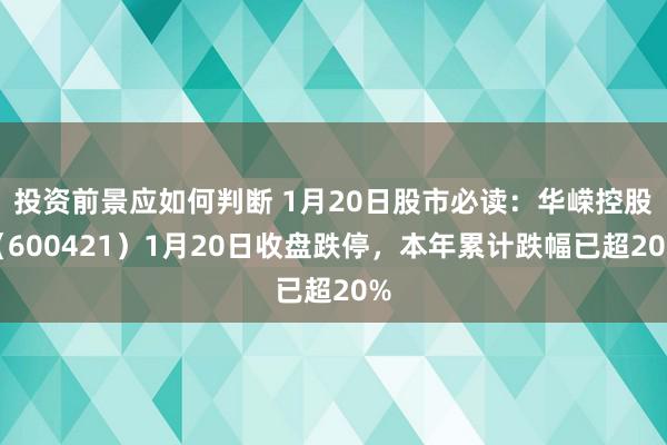 投资前景应如何判断 1月20日股市必读：华嵘控股（600421）1月20日收盘跌停，本年累计跌幅已超20%