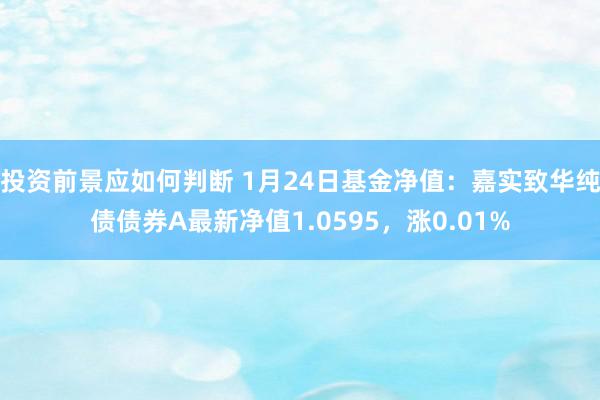 投资前景应如何判断 1月24日基金净值：嘉实致华纯债债券A最新净值1.0595，涨0.01%