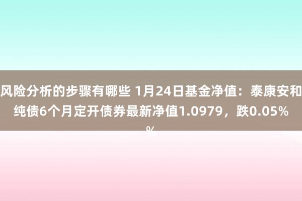 风险分析的步骤有哪些 1月24日基金净值：泰康安和纯债6个月定开债券最新净值1.0979，跌0.05%