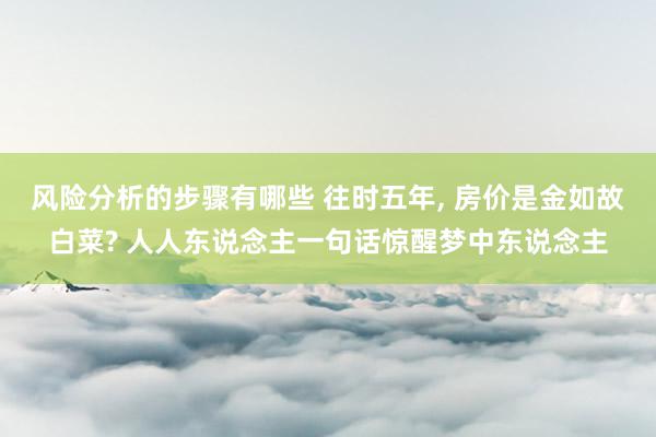 风险分析的步骤有哪些 往时五年, 房价是金如故白菜? 人人东说念主一句话惊醒梦中东说念主