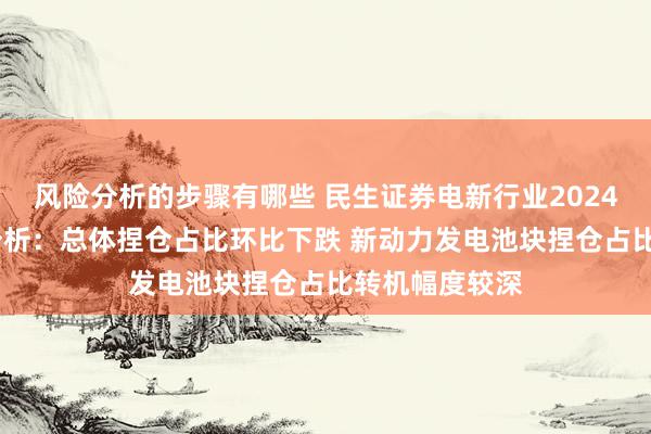 风险分析的步骤有哪些 民生证券电新行业2024Q4基金捏仓分析：总体捏仓占比环比下跌 新动力发电池块捏仓占比转机幅度较深