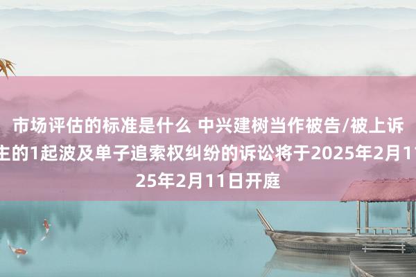 市场评估的标准是什么 中兴建树当作被告/被上诉东说念主的1起波及单子追索权纠纷的诉讼将于2025年2月11日开庭