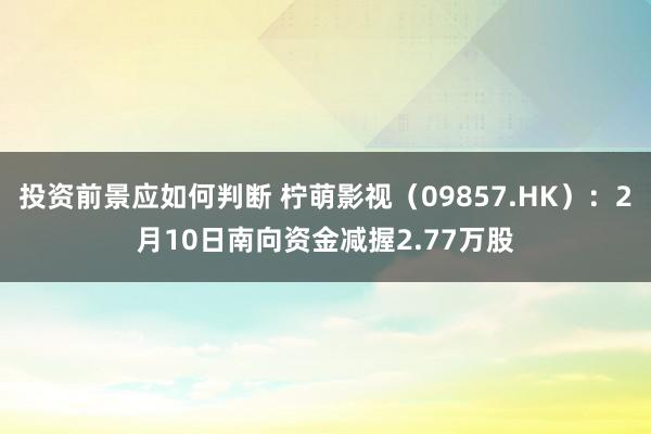 投资前景应如何判断 柠萌影视（09857.HK）：2月10日南向资金减握2.77万股