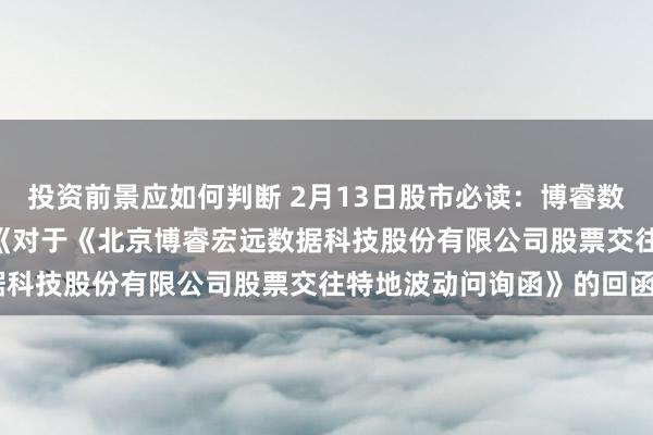 投资前景应如何判断 2月13日股市必读：博睿数据（688229）新发布《对于《北京博睿宏远数据科技股份有限公司股票交往特地波动问询函》的回函》