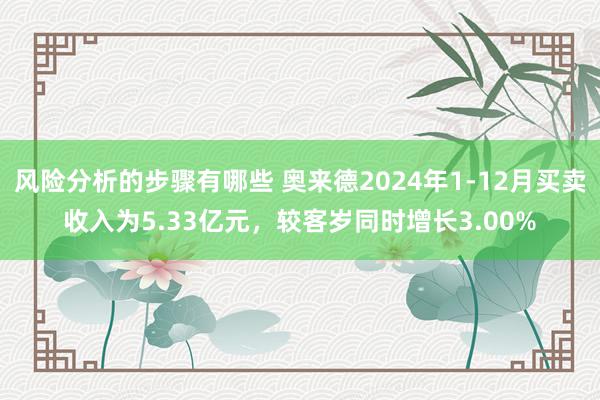 风险分析的步骤有哪些 奥来德2024年1-12月买卖收入为5.33亿元，较客岁同时增长3.00%