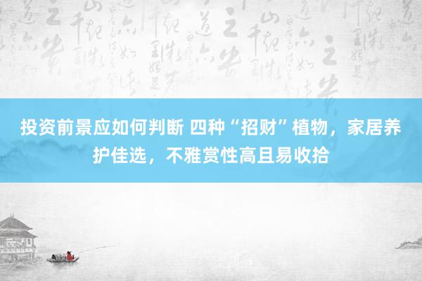 投资前景应如何判断 四种“招财”植物，家居养护佳选，不雅赏性高且易收拾