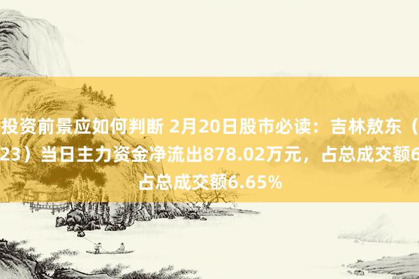 投资前景应如何判断 2月20日股市必读：吉林敖东（000623）当日主力资金净流出878.02万元，占总成交额6.65%