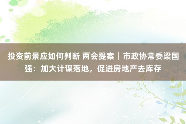 投资前景应如何判断 两会提案│市政协常委梁国强：加大计谋落地，促进房地产去库存