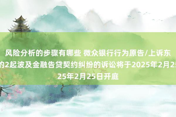 风险分析的步骤有哪些 微众银行行为原告/上诉东说念主的2起波及金融告贷契约纠纷的诉讼将于2025年2月25日开庭