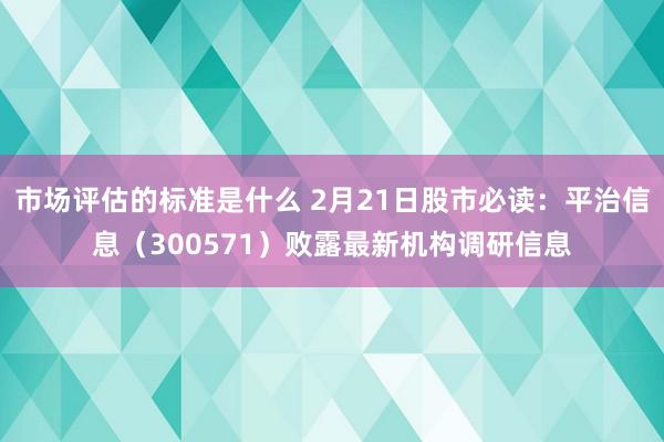 市场评估的标准是什么 2月21日股市必读：平治信息（300571）败露最新机构调研信息