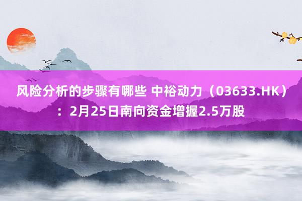 风险分析的步骤有哪些 中裕动力（03633.HK）：2月25日南向资金增握2.5万股