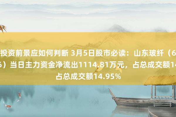 投资前景应如何判断 3月5日股市必读：山东玻纤（605006）当日主力资金净流出1114.81万元，占总成交额14.95%