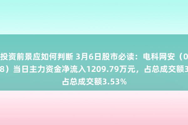 投资前景应如何判断 3月6日股市必读：电科网安（002268）当日主力资金净流入1209.79万元，占总成交额3.53%