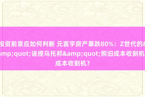 投资前景应如何判断 元寰宇房产暴跌80%：Z世代的&quot;诬捏乌托邦&quot;照旧成本收割机？